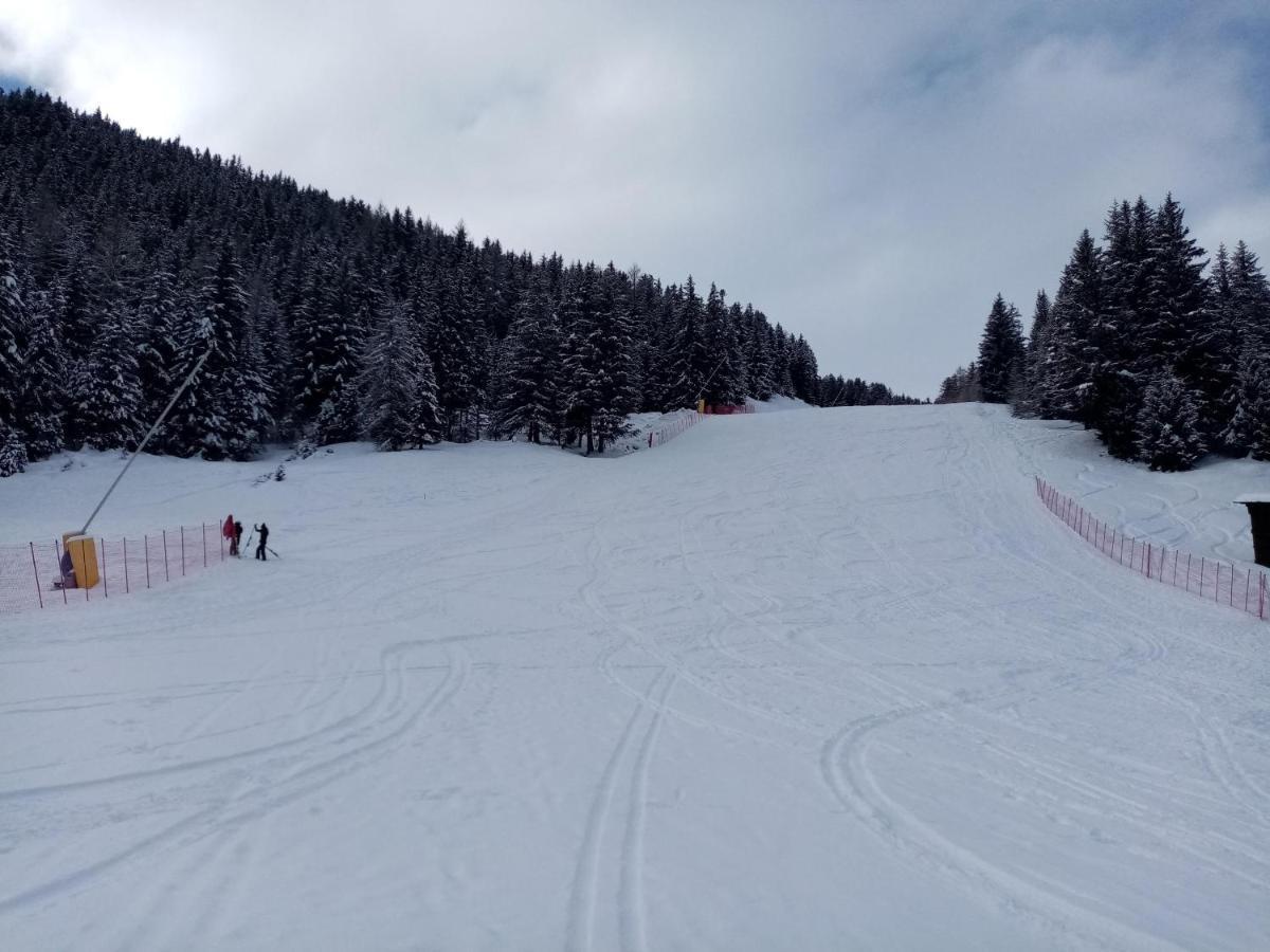Comodo Alloggio Con Accesso Diretto Alle Piste سانتا كاترينا فالفورفا المظهر الخارجي الصورة